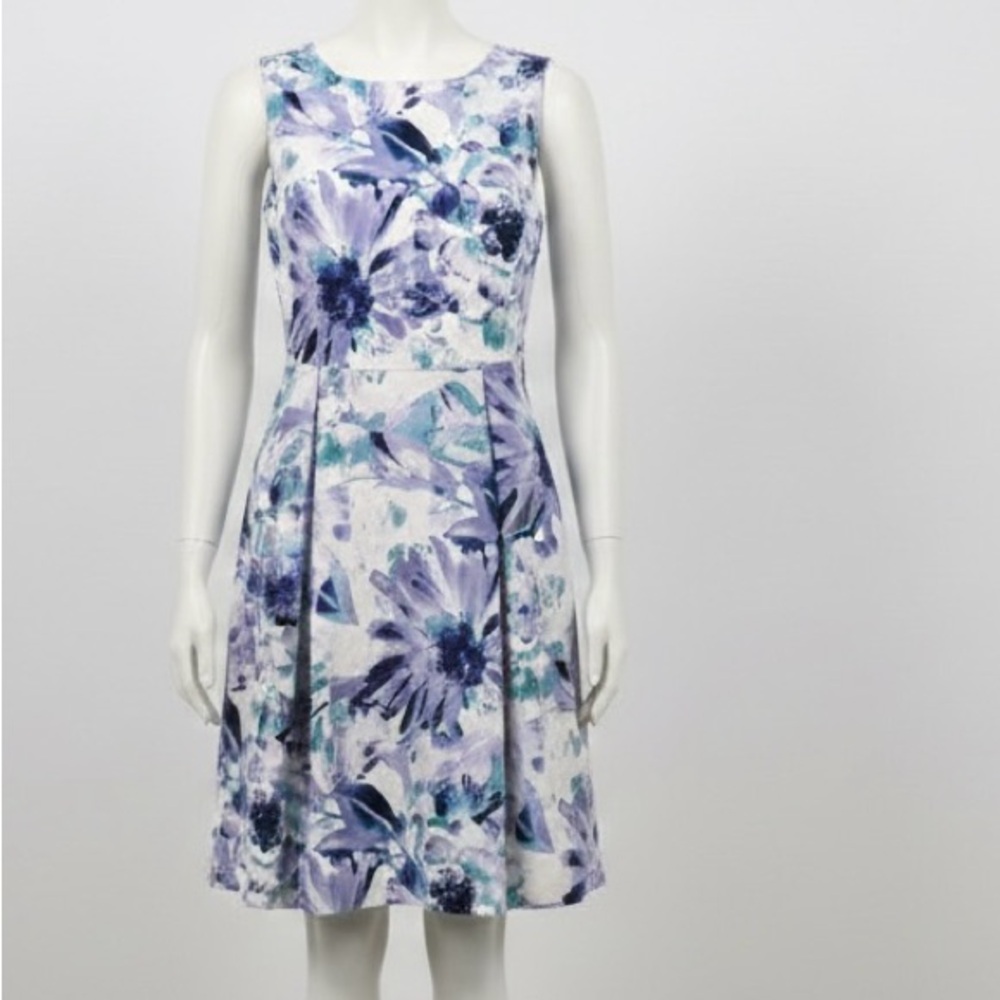Established 1962 Floral Blue and White Dress Size 12
